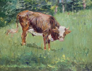 Junger Stier auf einer Wiese, 1881